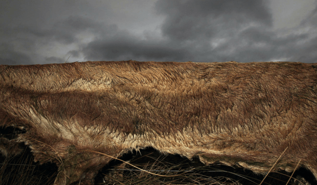 Screen Shot 2013-11-07 at 7.29.28 AM