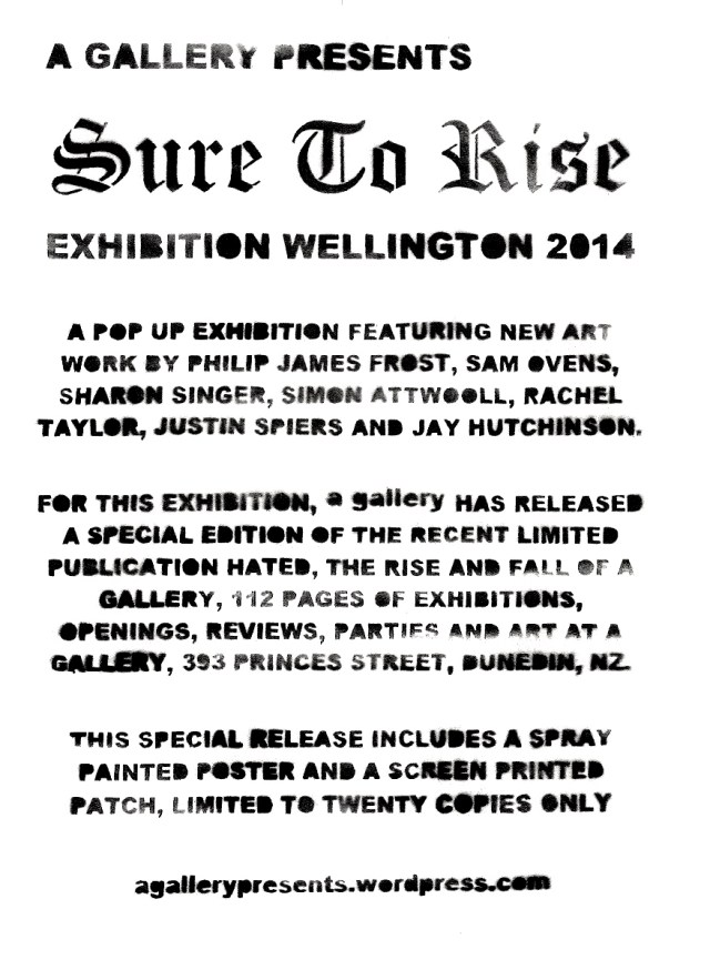 a gallery presents SURE TO RISE Exhibition Wellington 2014 S